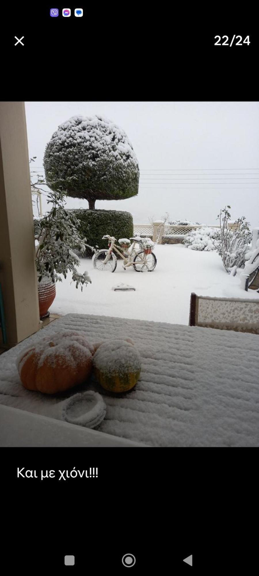 Evelina - Home With View Volos Quarto foto